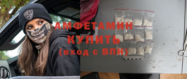 шишки Горнозаводск