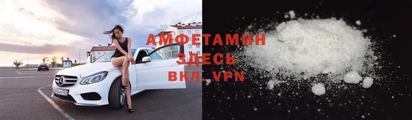 шишки Горнозаводск