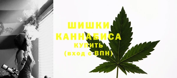 крисы Горно-Алтайск