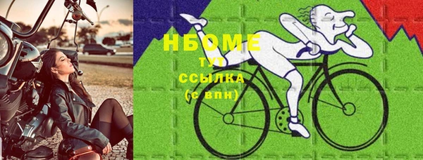 шишки Горнозаводск
