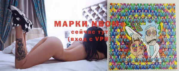 шишки Горнозаводск
