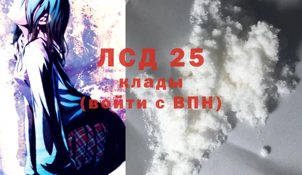 Альфа ПВП Гусев