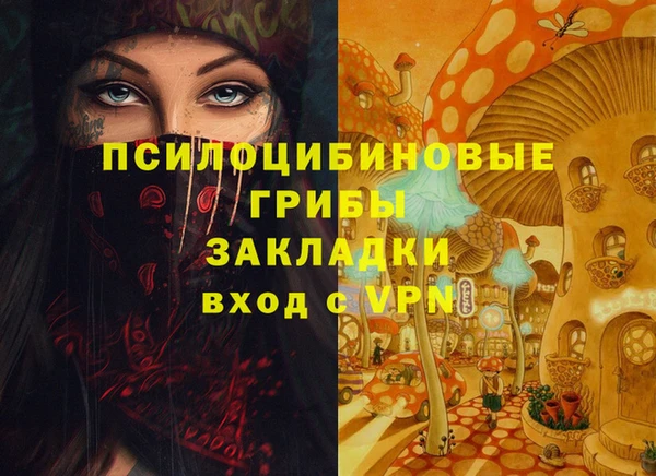 шишки Горнозаводск