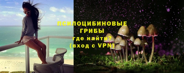 крисы Горно-Алтайск