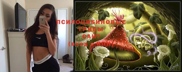 шишки Горнозаводск