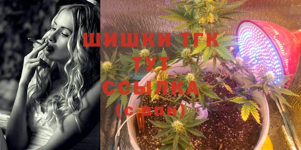 шишки Горнозаводск