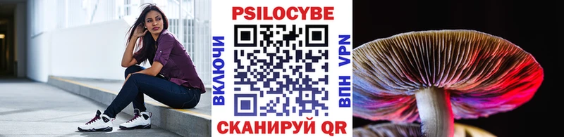 Купить где  Ивдель  Псилоцибиновые грибы Psilocybe 