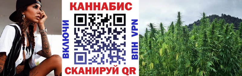 Купить закладки  Ивдель  Каннабис планчик 